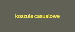 Koszule casualowe