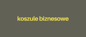 Koszule biznesowe