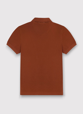 Gładki T-shirt polo w kolorze brązowym