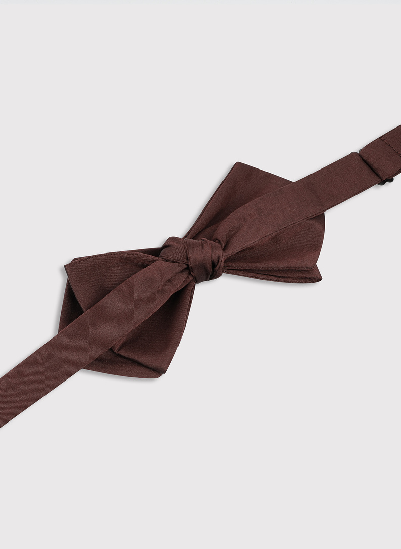 Asymetryczna brązowa mucha męska