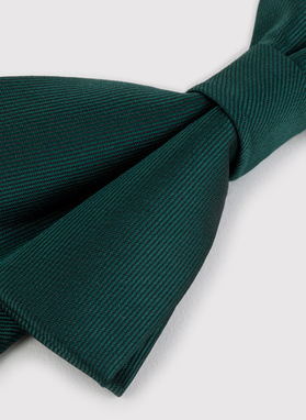 Basicowa gładka zielona mucha