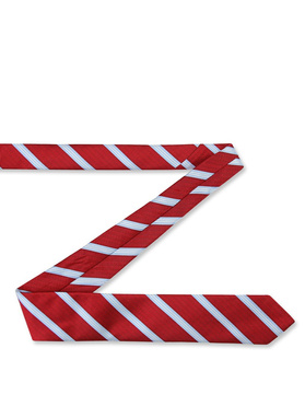 Krawat męski PLM-KX-489-X