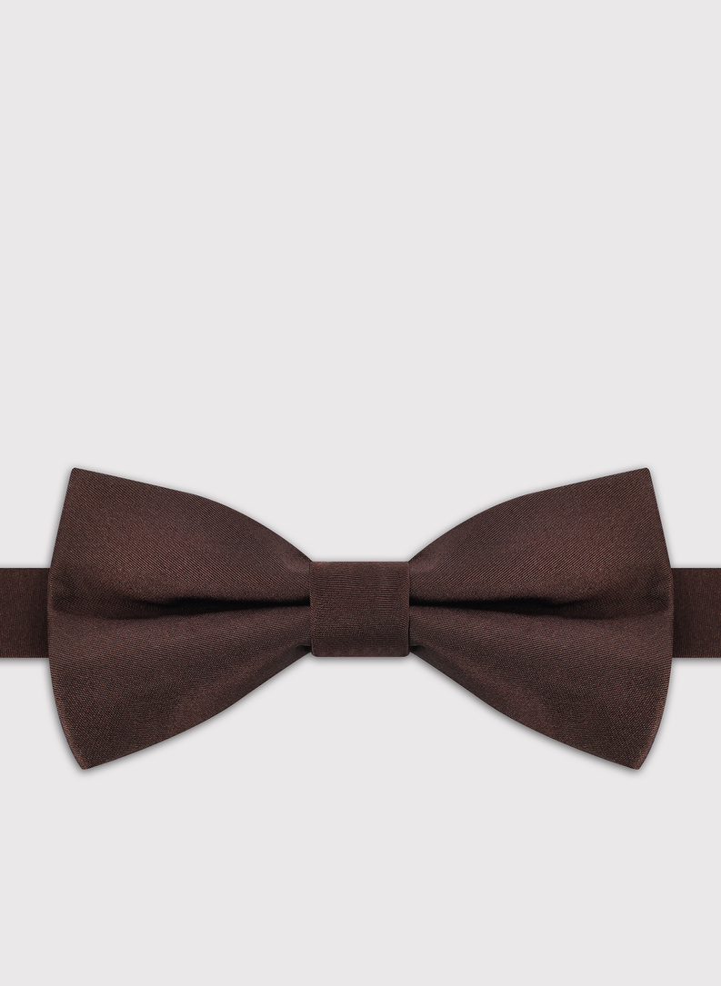 Brązowa mucha męska