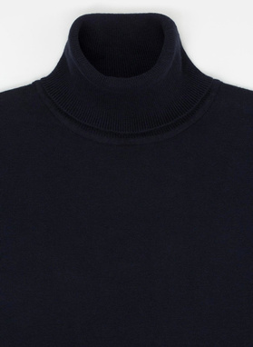 Sweter męski ALBERTO P20WF-2X-003-G