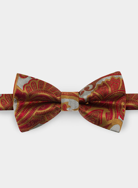 Mucha męska brązowa P22SF-MX-013-A-0