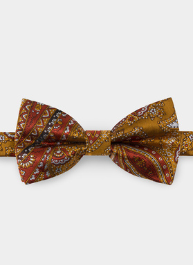 Mucha męska brązowa P22SF-MX-009-Y-0