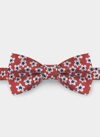 Mucha męska bordowa P22SF-MX-004-D-0