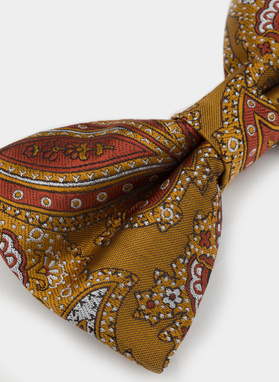 Mucha męska brązowa P22SF-MX-009-Y-0