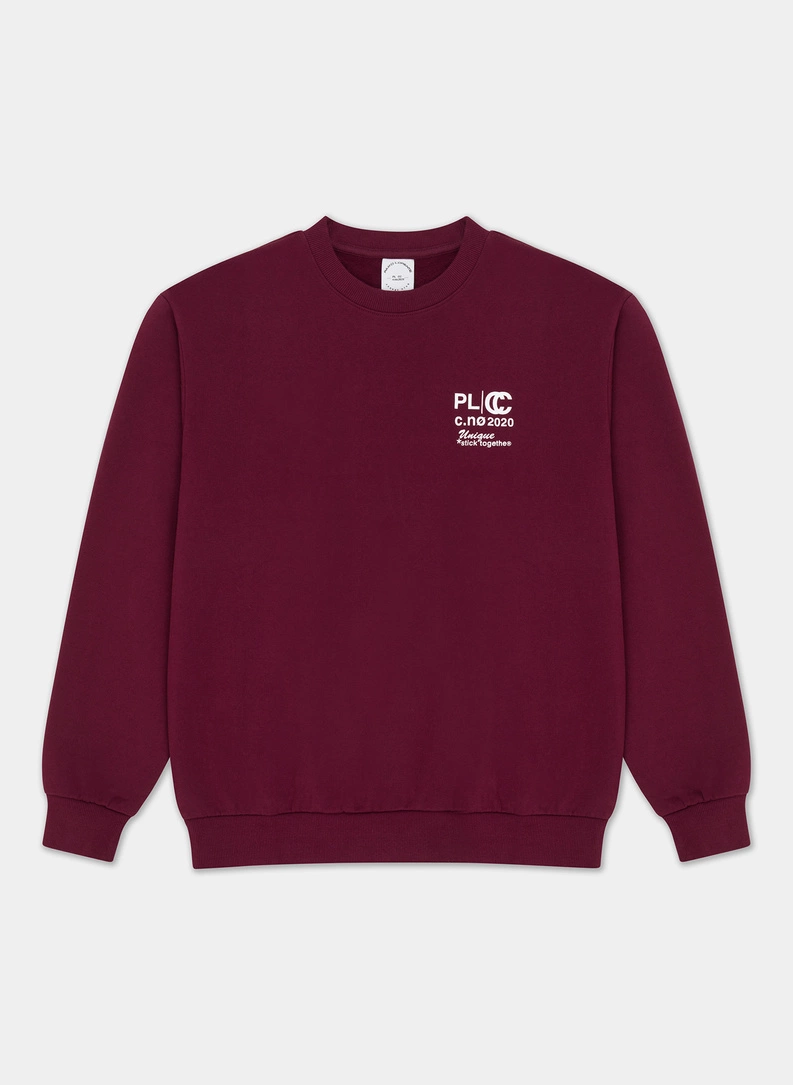 Bluza bordowa C21WF-2B-005-D - zdjecie nr 1