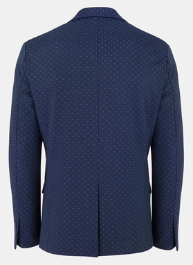 Marynarka męska ALOR PLM-3X-237-G