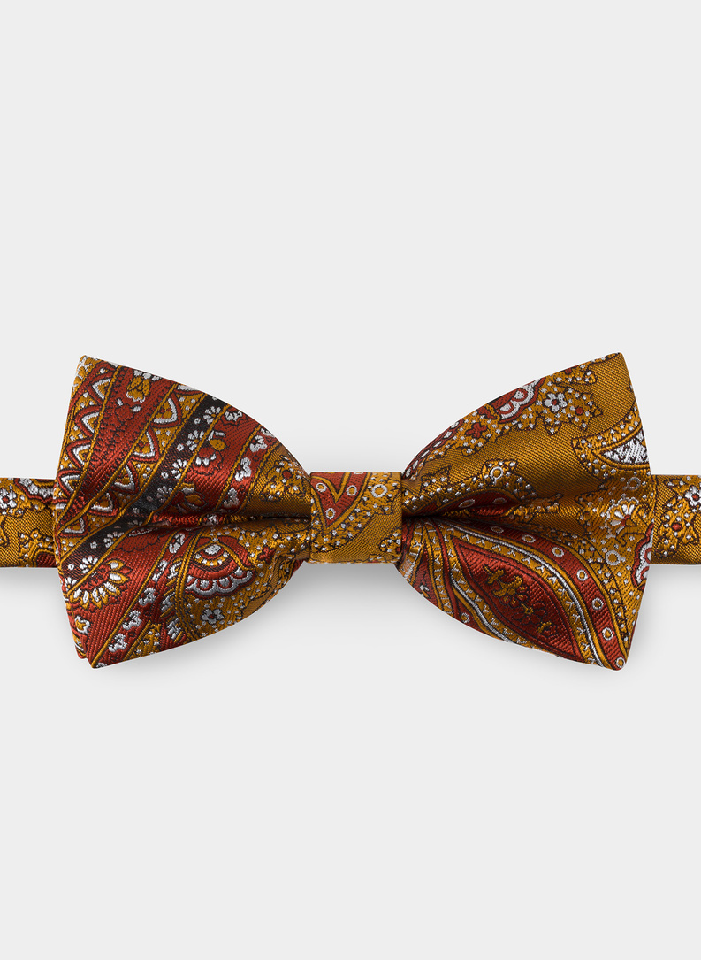 Mucha męska brązowa P22SF-MX-009-Y-0