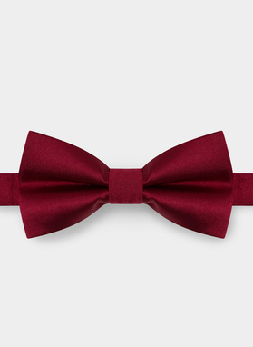 Mucha męska bordowa P22SF-MX-001-D-0