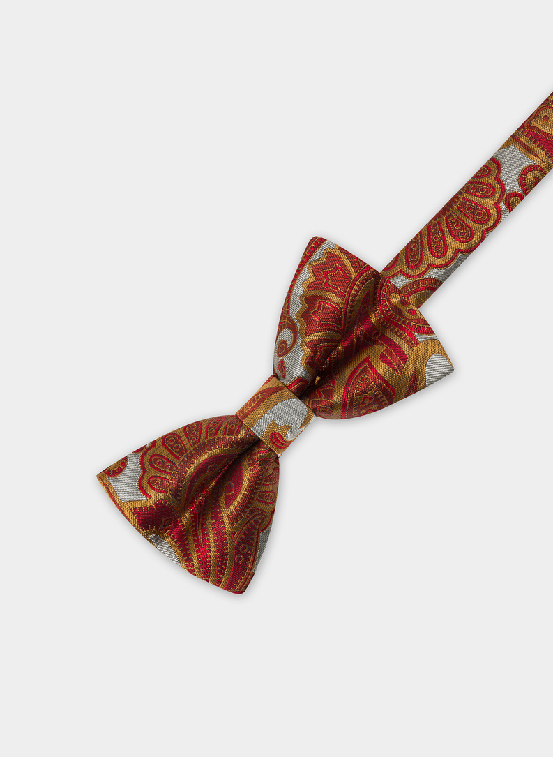 Mucha męska brązowa P22SF-MX-013-A-0