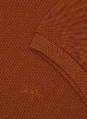 Gładki T-shirt polo w kolorze brązowym