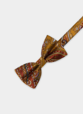 Mucha męska brązowa P22SF-MX-009-Y-0