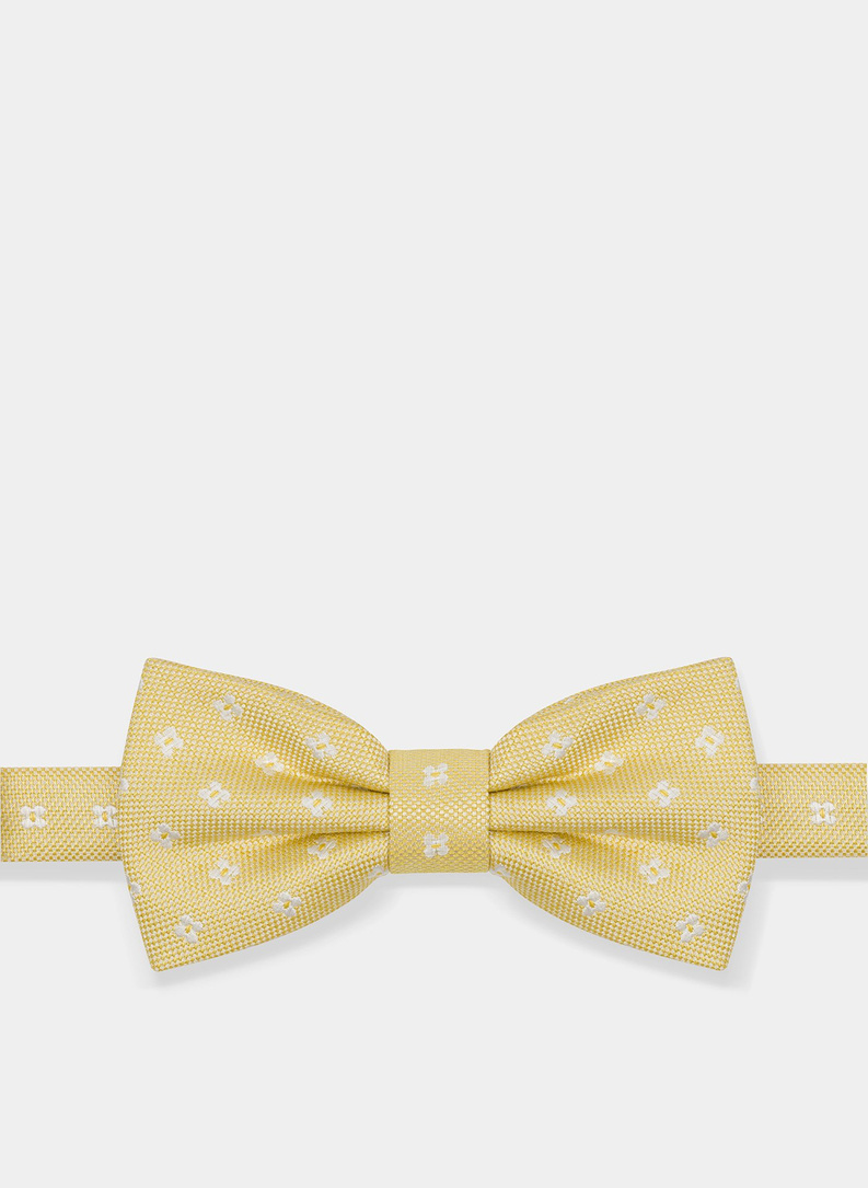 Mucha P20SF-MX-013-Y