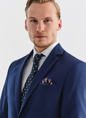 Marynarka garniturowa MERALD P00WB-3G-314-N