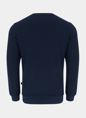 T-shirt męski ALTO P20WF-TL-007-G