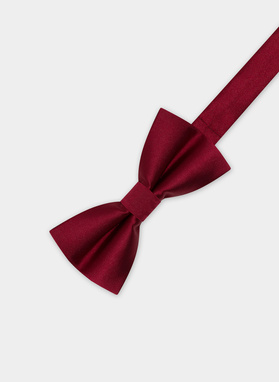 Mucha męska bordowa P22SF-MX-001-D-0