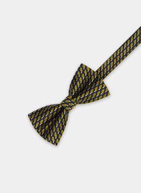 Mucha P20WF-MX-234-Y