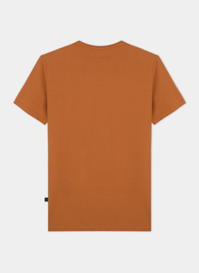 T-shirt męski P21WF-TX-001-P