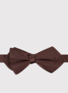 Asymetryczna brązowa mucha męska