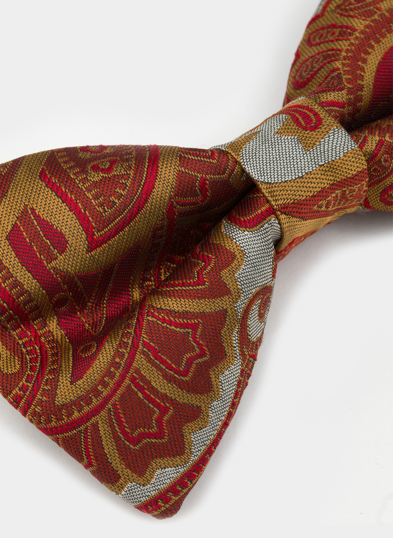 Mucha męska brązowa P22SF-MX-013-A-0