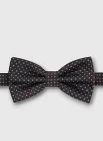 Brązowa mucha w mikrowzór