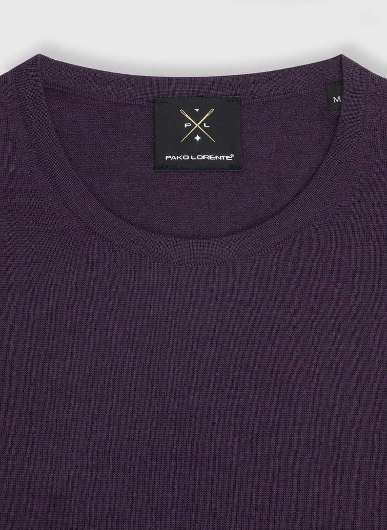 Sweter męski P22WP-2X-026-F-0