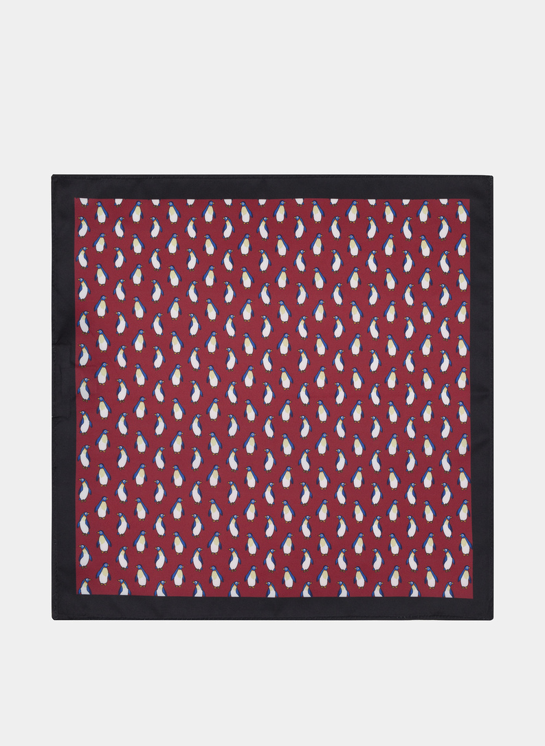 Poszetka P20WF-HX-294-D