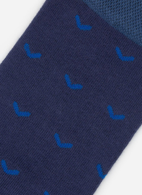 Skarpetki we wzór P000B-SX-512-G