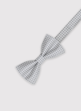 Mucha męska srebrna P22SF-MX-018-E-0