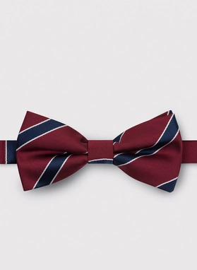 Bordowa mucha w pasy