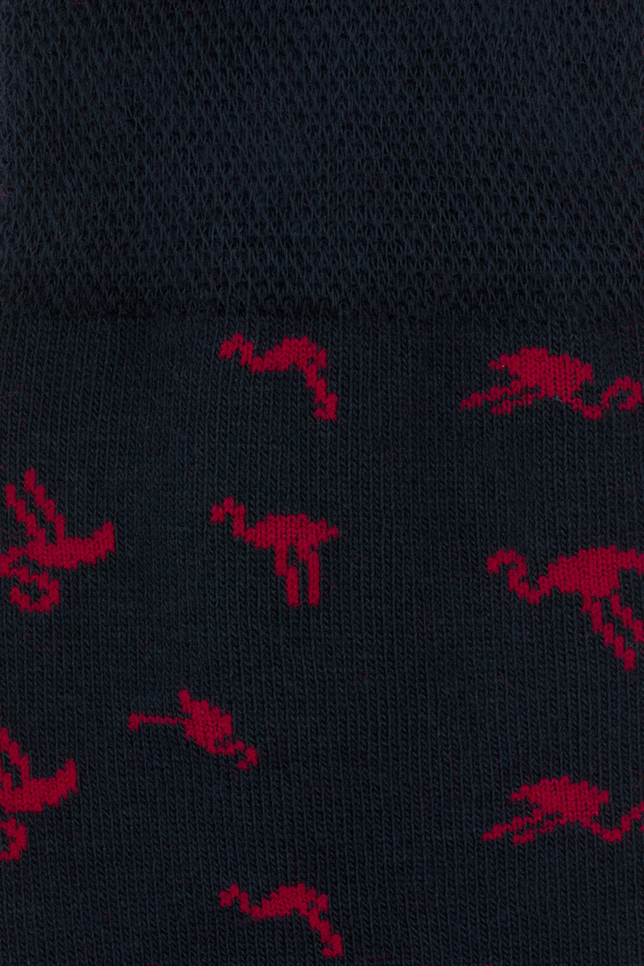 Skarpetki P000B-SX-524-G-0