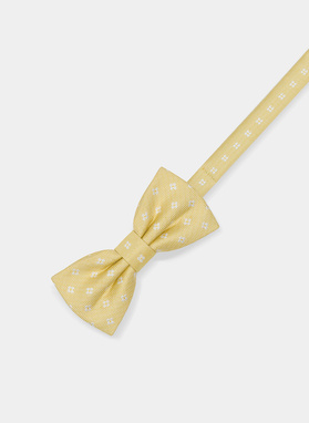 Mucha P20SF-MX-013-Y