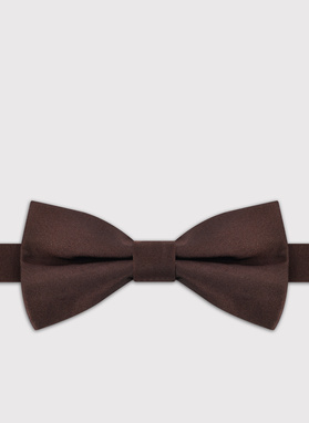 Brązowa mucha męska