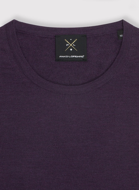 Sweter męski P22WP-2X-026-F-0