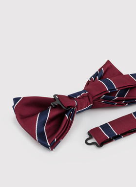 Bordowa mucha w pasy