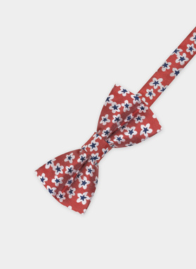 Mucha męska bordowa P22SF-MX-004-D-0