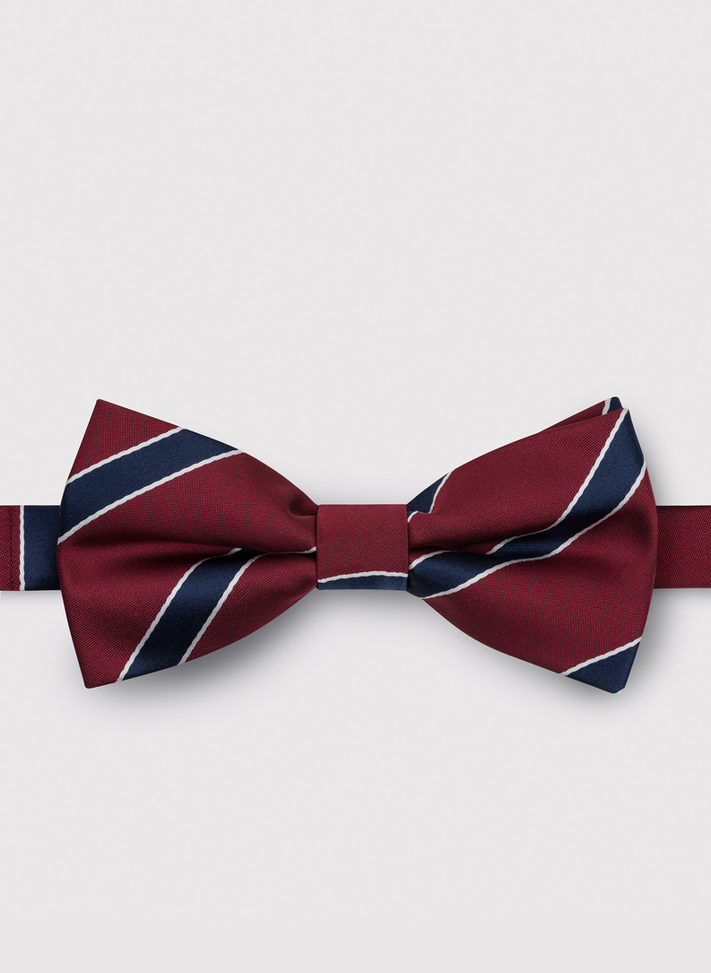 Bordowa mucha w pasy