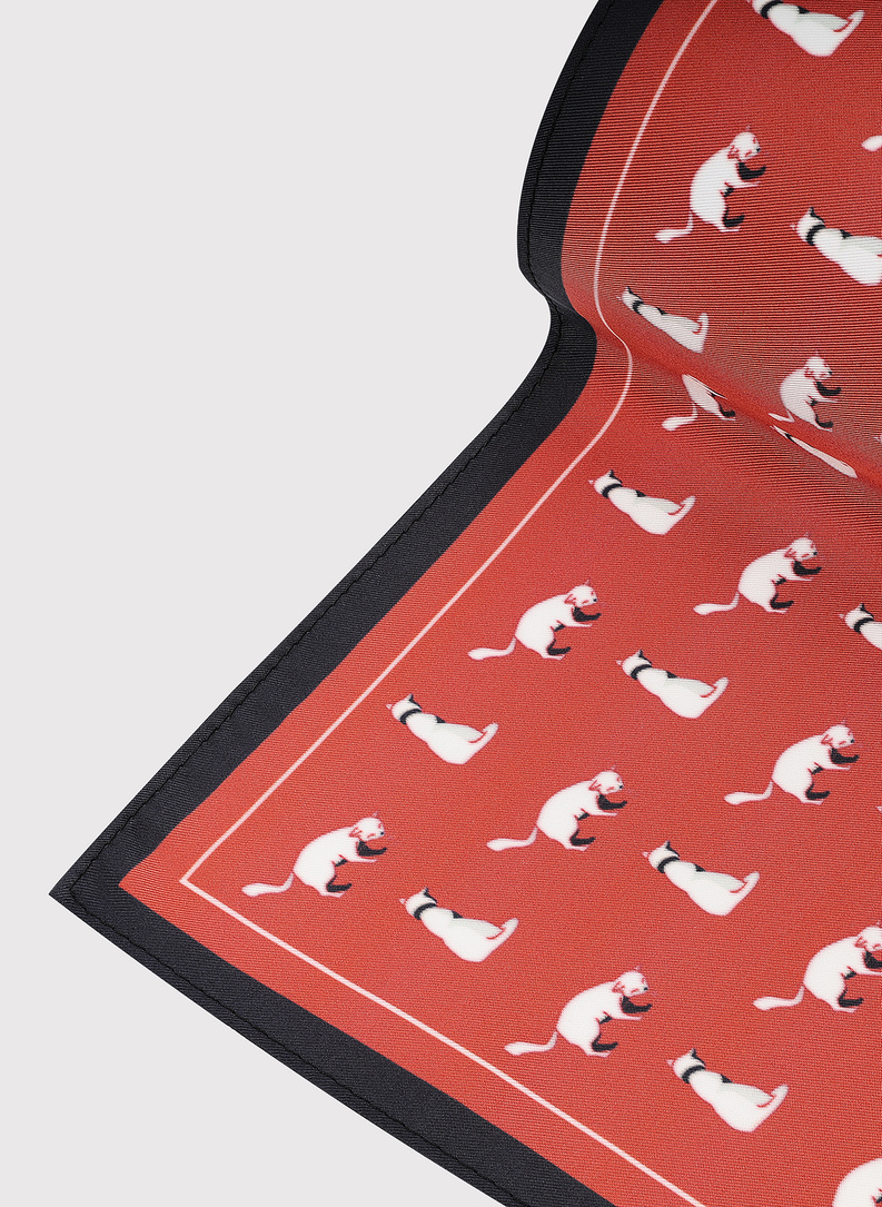 Czerwona poszetka w kotki