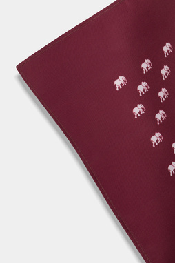 Poszetka P20WF-HX-292-D