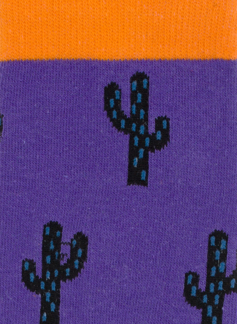 Skarpety w kaktusy DDTS9-SX-456-F