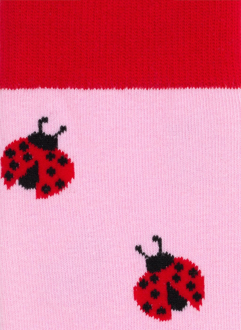 Skarpetki idealna na jesień DTS-SX-459-R