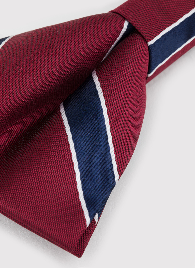 Bordowa mucha w pasy