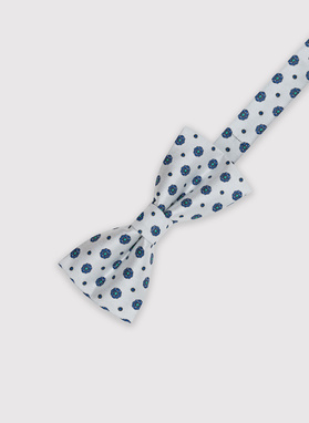 Mucha męska srebrna P22SF-MX-025-E-0